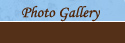Photo Gallery